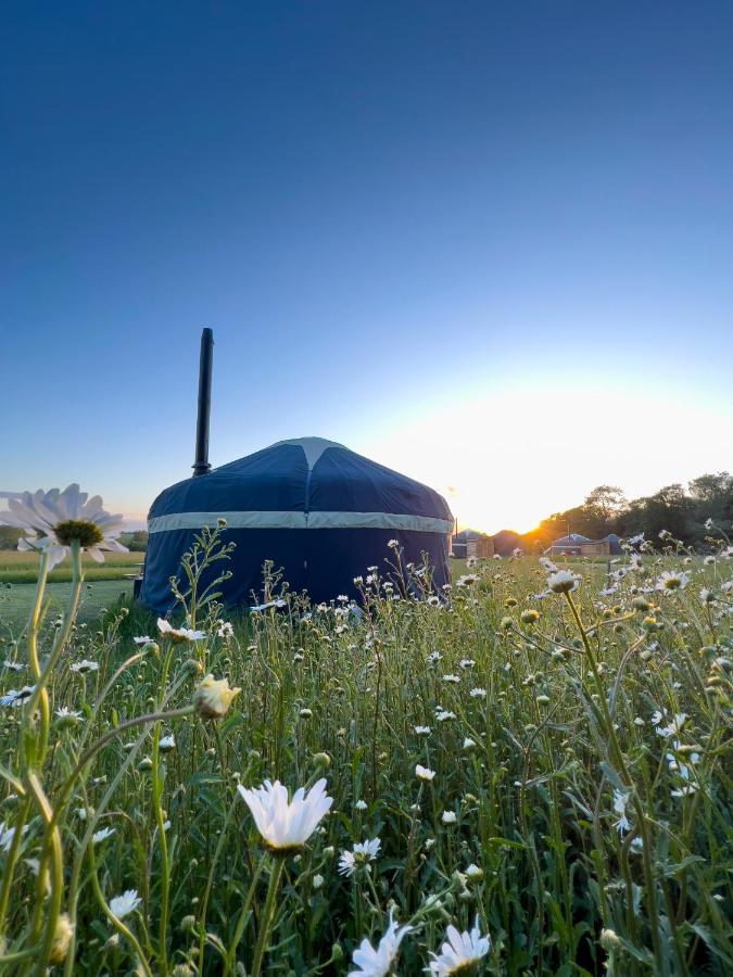 Wild Meadow, Lodge Farm, East Raynham เฟเกนแฮม ภายนอก รูปภาพ