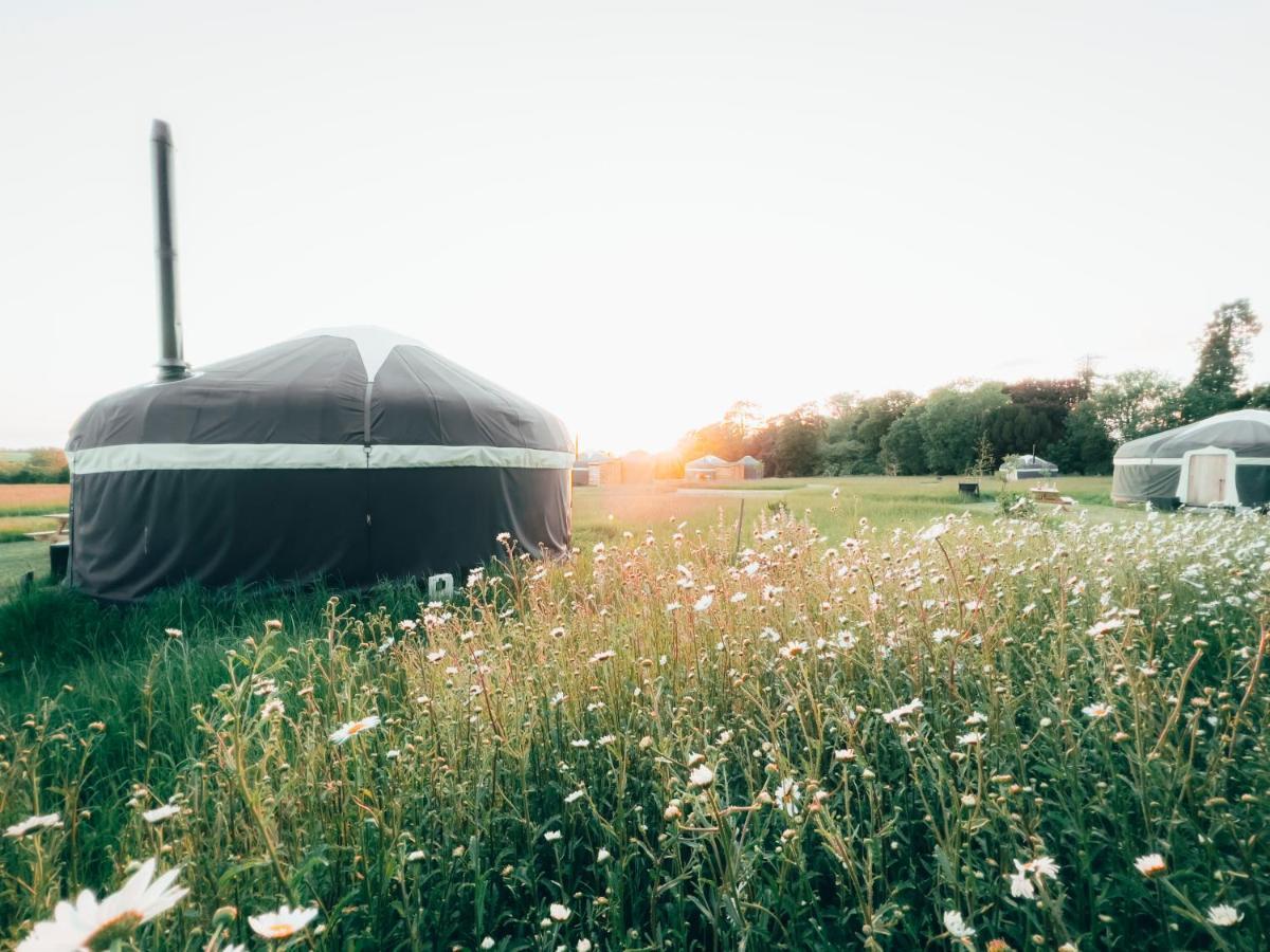 Wild Meadow, Lodge Farm, East Raynham เฟเกนแฮม ภายนอก รูปภาพ