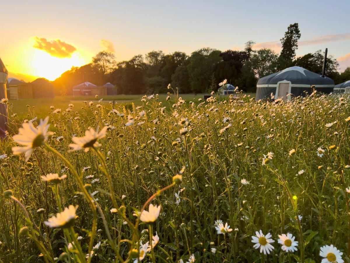 Wild Meadow, Lodge Farm, East Raynham เฟเกนแฮม ภายนอก รูปภาพ